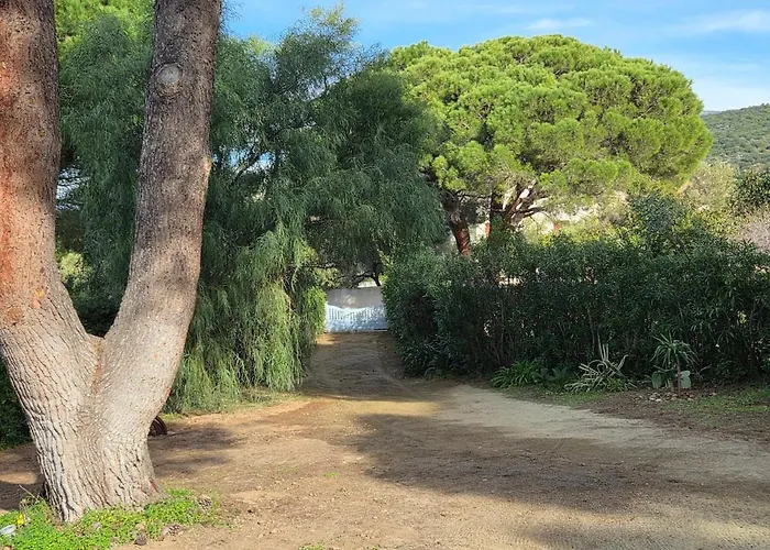 Casa Flora Avec Piscine A 300m De La Semesterbostad Saint-Florent (Corsica)